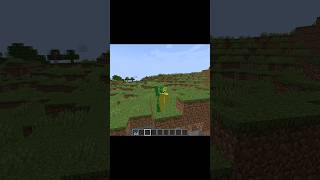 Is this in JAVA edition?😱