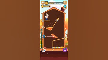 Home pin game Level 342