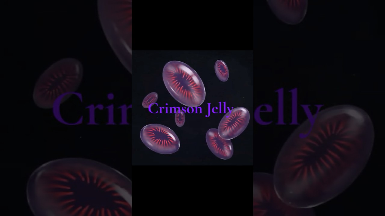 Crimson jelly: monster Vault review 