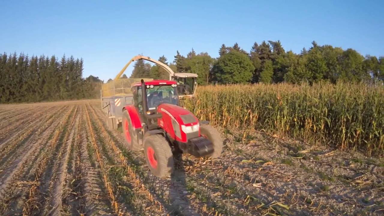 Corn Silage 2016 | Siláže 2016 | ZEA Rychnovsko | 2. část [Gopro, Sjcam]