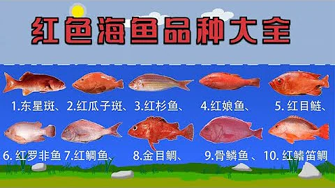 常吃的12種紅色海魚你認識幾種？很多人活了一輩子只認識東星斑！ - 天天要聞