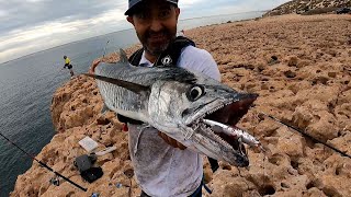 Fishing off cliffs, Big Spanish mackerel and monster Bonefish