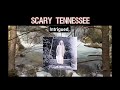 Scary Tennessee Stories: Cecilia Lost in Time