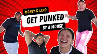 Mr. Black and Laro Benz get punked by a mouse 
