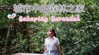 【Sekeping Serendah Vlog】 | 马来西亚城市中的森林之家, 大自然中的无边泳池真漂亮！