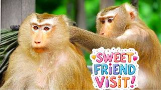 LIBBY & Her Family | A Peaceful Visit from ROSE & RINA