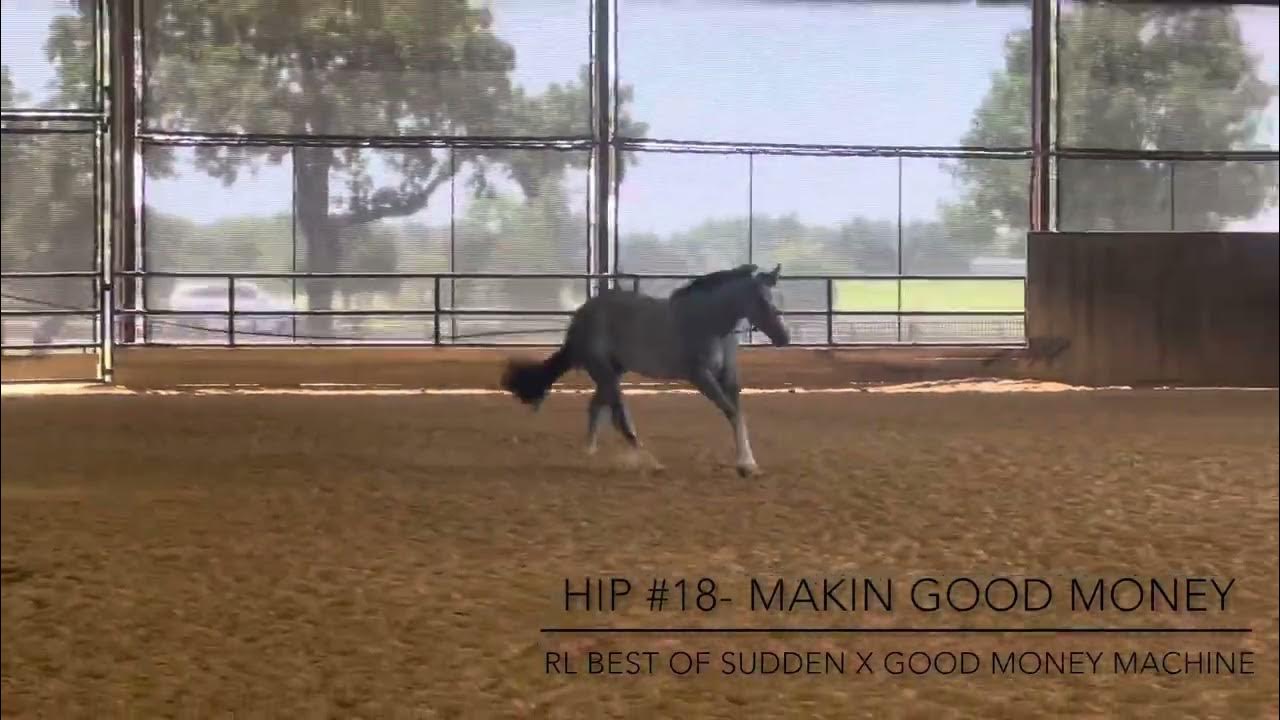 Hip 18 NSBA Yearling sale Makin Good Money (RL Best Of Sudden x Good
