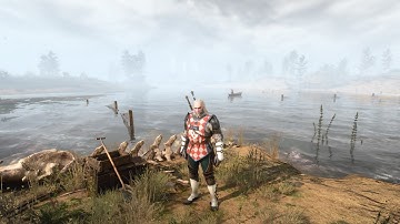 Many people never notice THIS in the Witcher 3