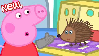 Peppa Pig in Hindi - Hedgehog - कांटेदार जंगली चूहा - हिंदी Kahaniya - Hindi Cartoons for Kids