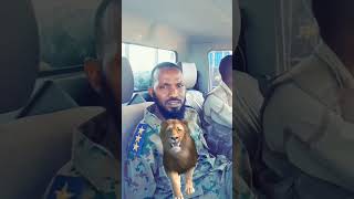 شاهد شجاعة وثبات من ضابط في الجيش السوداني