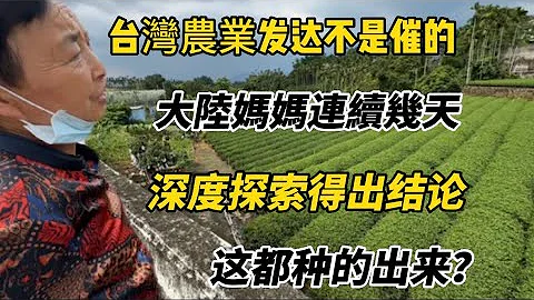 台灣農業發達？大陸媽媽連續幾天深度探索台灣農業得出結論！爸爸最後發話了！ - 天天要聞