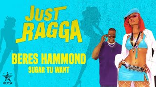 Beres Hammond - Sugar Yu Want (Official Audio) | Jet Star Music