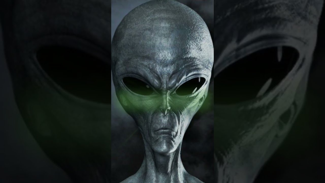 This Week The Greada Treaty Podcast Aliens Greadatreaty Ufo Takemetoyourleader