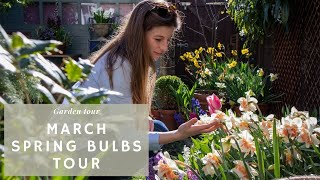 I planted A LOT of Spring bulbs  | March GARDEN TOUR (Tulips, Daffodils & more!)