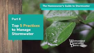 The Homeowner's Guide to Stormwater - Part 6