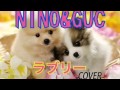 小沢健二 ラブリー cover