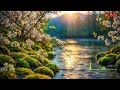 Peaceful Meditation Music for Deep Inner Silence and Tranquility