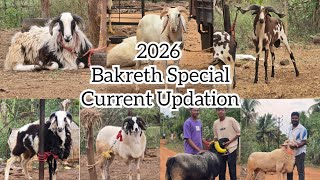 17-05-26 Al-Shaji Bakreth Special Current Updation