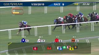 Gulfstream Park January 30, 2019 Race 9