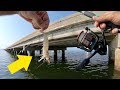 Using Live Shrimp for LOTS of  Random Bridge Fish