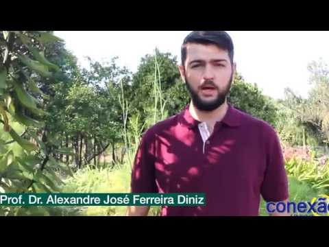 Vídeo: Agronomia Comuna