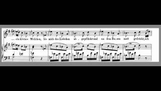 Video thumbnail of "Das Veilchen - Mozart - High Key G - Accompaniment"