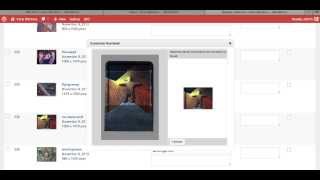 How to edit thumbnail in Wordpress Media Library and NextGen Galleries.