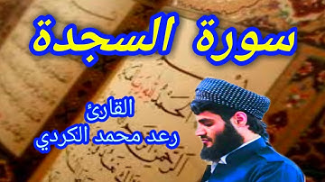 سورة السجدة - القارئ رعد محمد الكردي