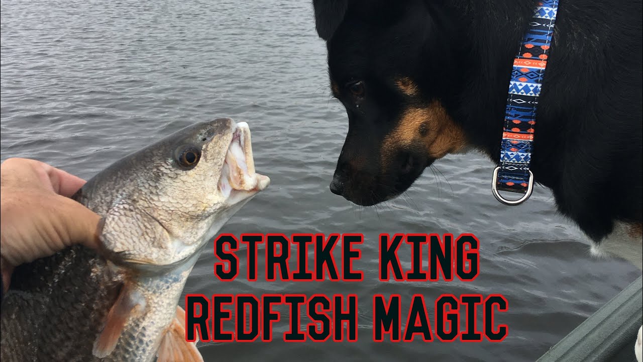 Strike King Redfish Magic Catch - YouTube