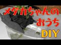 【3千円以下】ダイソーのひな壇使ってメダカちゃんのおうちDIYしてみた【ビオトープ】