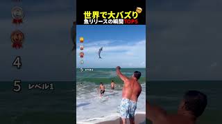 世界中で大バズり⁉魚リリースの瞬間TOP5