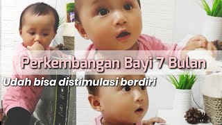 PERKEMBANGAN BAYI 7 BULAN DAN CARA STIMULASINYA