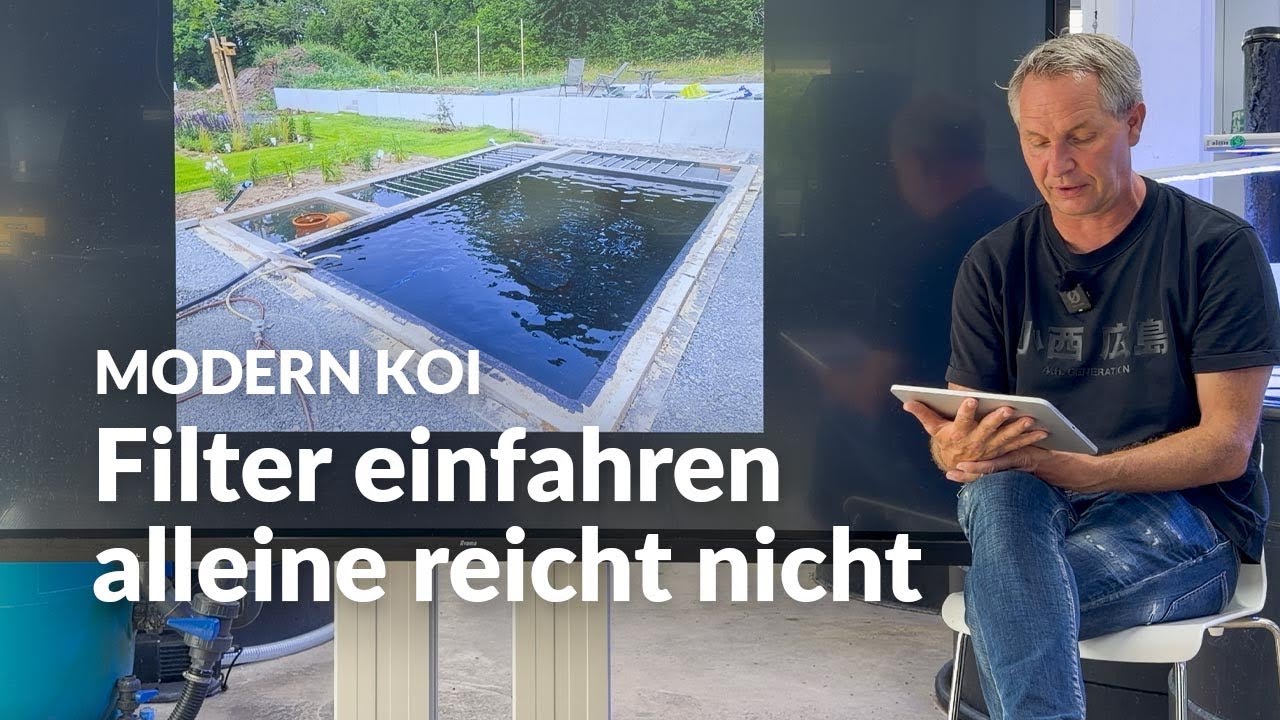 Wann ist es zu spät, Koi in einen neuen Teich zu setzen? | Modern Koi Blog #8206