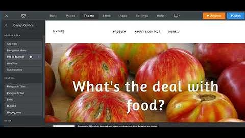 Weebly Tutorial  fonts & colors