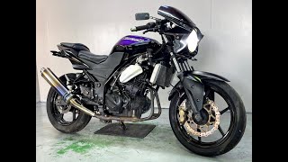 オートバイ車体 Ninja250R ネイキッド仕様 ニンジャ250