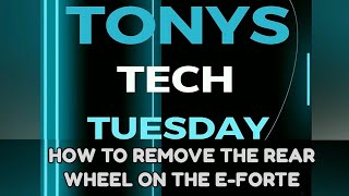 Tony's Tech Tuesday Ep 44 E-Forte Rear Wheel Removal #zizzo #ebike #foldingbike