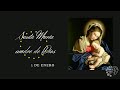 Santo del día: Santa María madre de Dios
