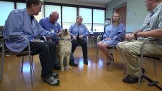 Pet Therapy | Behavioral Health Services