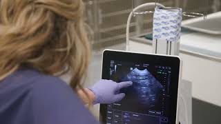 NDVESH - 24/7 Veterinary ER in Frisco