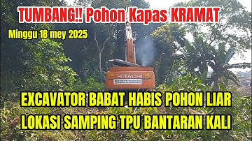 Excavator Babat Habis Pohon Liar Di Bantaran Kali Srengseng #dedimulyadi #normalisasi