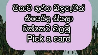 Download Lagu ඔයාට ගුප්ත දෙයක් කරලද බලමු?|pick a card|tarrot reading MP3 Download Lagu ඔයාට ගුප්ත දෙයක් කරලද බලමු?|pick a card|tarrot reading MP3
