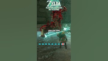 Beating the Floating Coliseum using NO Weapons #zelda #tearsofthekingdom #gaming #challenge #totk