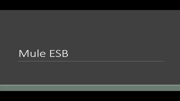 DataWeave Transformation (Map Operator and Functions) With Mule ESB-Part IV