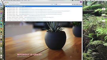 Prevent WordPress Hacking with Limit Login Attempts