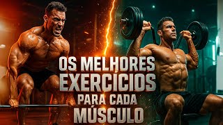 Os Melhores Exercícios Para Cada Grupo Muscular (O Guia Mais Direto e Completo!) Os Melhores Exercícios Para Cada Grupo Muscular (O Guia Mais Direto e Completo!)