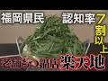 【3/8(日)放送】正しいもつ鍋の食べ方知ってますか？【地元検証バラエティ福岡くん。】