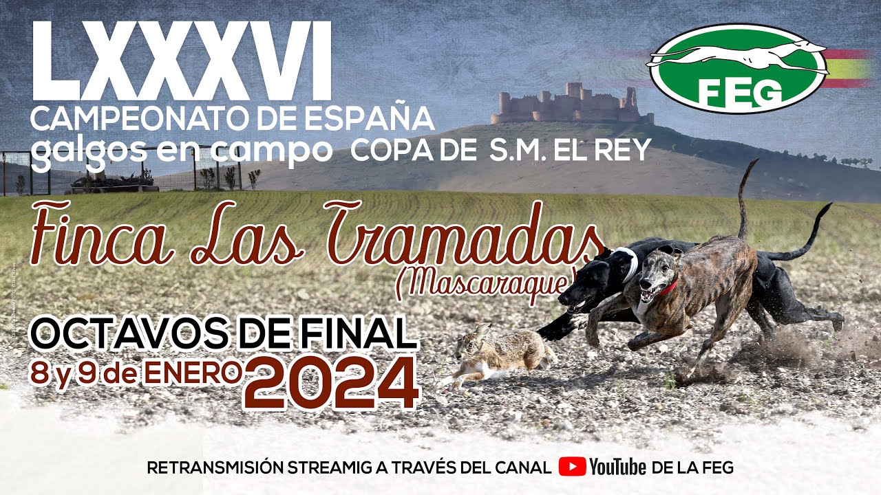 Primera Jornada. Los Mejores momentos  Octavos de Final LXXXVI CTO DE ESPAÑA DE GALGOS EN CAMPO