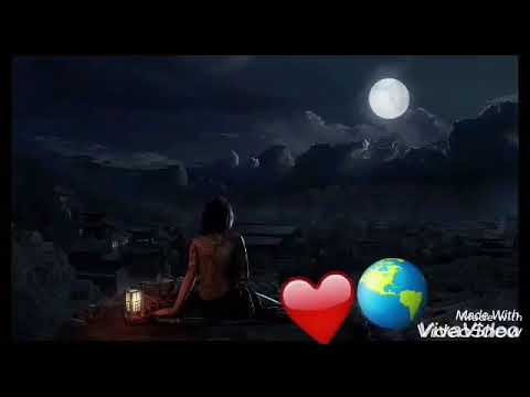 ولا ايه ولا ليه 