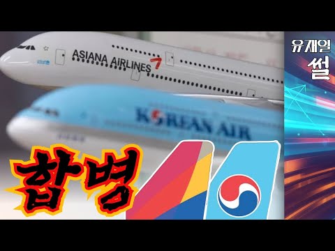 대한항공-<strong>아시아나</strong> 합병. 사모펀드에 넘어가는 대기업 1호가 될 가능성 높죠.