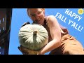 HAPPY FALL Y'ALL | DECORATING, HARVESTING GOURDS, & HOUSEPLANT CARE
